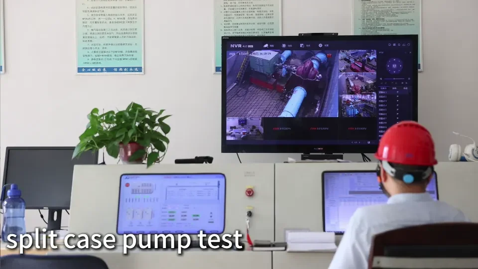 Axial Split Case Pump Test