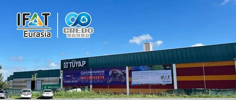 Ifat Eurasian Turkey (2025)