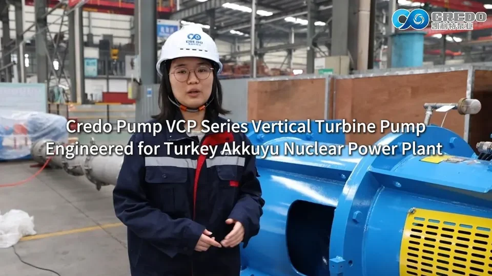 Vertical Turbine Pump – Engineered For Turkey Akkuyu Nuclear Power Plant​​
