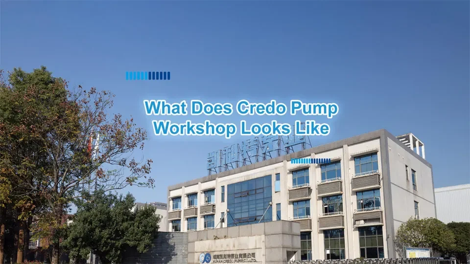 What Does Credo Pump Workshop Look Like